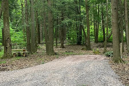 Site at Sleepy Hollow Campground